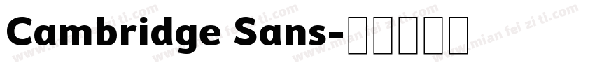 Cambridge Sans字体转换